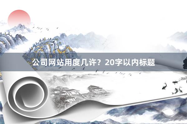 公司网站用度几许？20字以内标题